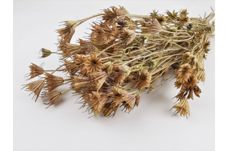 NIGELLA NATURALA ALB NATUR - 100 GR [1]