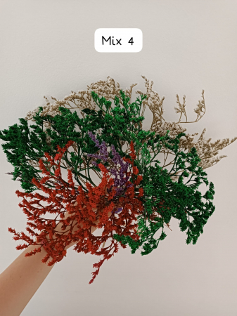 MIX TATARICA NATURAL USCATA - 50 gr [3]