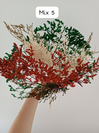 MIX TATARICA NATURAL USCATA - 50 gr [4]