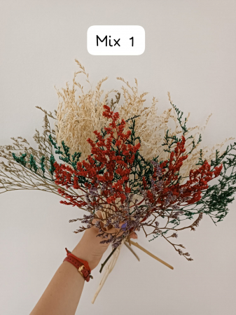 %LICHIDARE STOC% - MIX TATARICA NATURAL USCATA - 50 gr