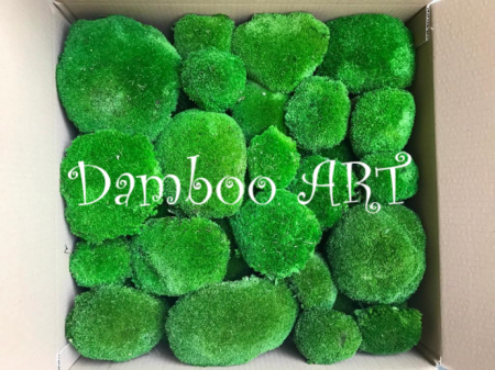 MUSCHI BOMBAT PREMIUM, VERDE NEON [1]