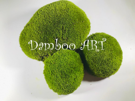 MUSCHI NATURALI STABILIZATI - MUSCHI BOMBAT PREMIUM, VERDE DESCHIS