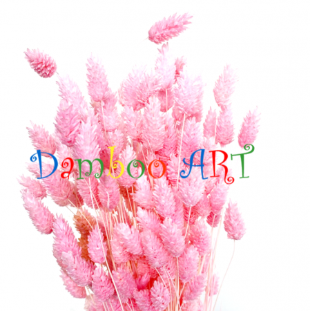 PHALARIS PREMIUM BUCHET MARE 150 GR [2]