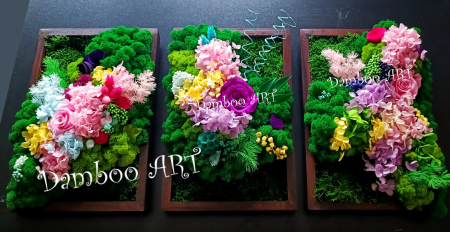 TABLOURI CU MUSCHI, LICHENI SI PLANTE STABILIZATE - Tablouri decorative cu muschi, licheni si plante stabilizate