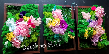 Tablouri decorative cu muschi, licheni si plante stabilizate [1]