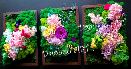 Tablouri decorative cu muschi, licheni si plante stabilizate [2]