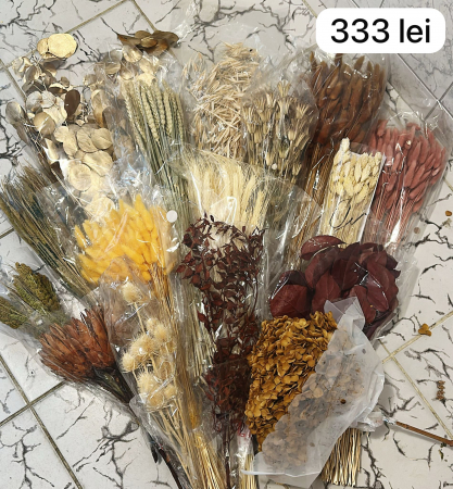 LICHENI SI MUSCHI - SET LOT PLANTE NATURALE STABILIZATE SI USCATE