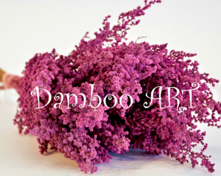 STOEBE NATURALA STABILIZATA, FUCSIA [0]