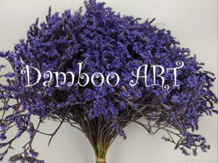 FLORI NATURALE USCATE - TATARICA NATURALA USCATA MOV