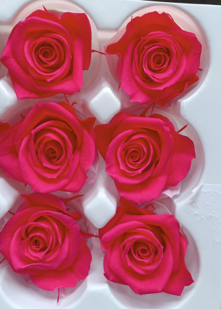 FLORI SI PLANTE - TRANDAFIR CRIOGENAT MEDIU BRIGHT PINK