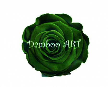 TRANDAFIRI CRIOGENATI - TRANDAFIR CRIOGENAT MEDIU Roseamor S, VERDE SMARALD INTENS
