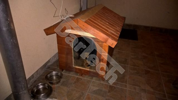 Perdea PVC cusca caine RexStrip [3]
