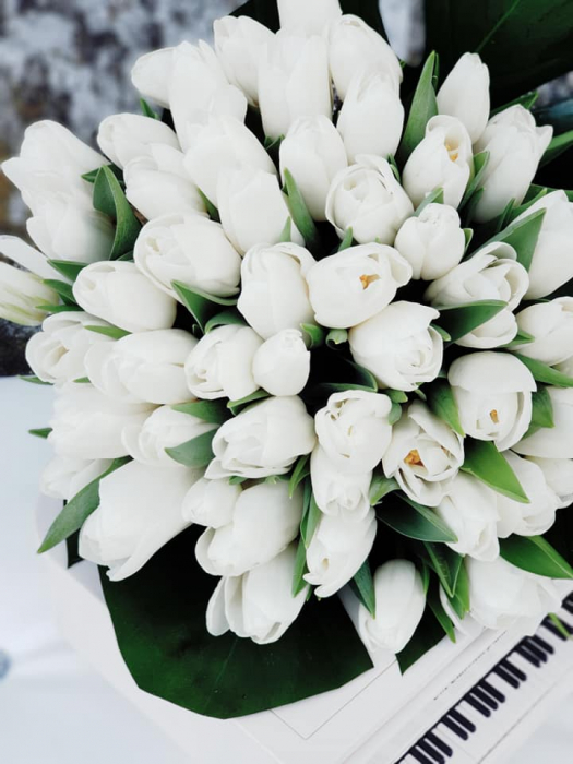Buchet lalele albe [3]