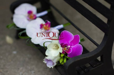 cocarde-nunta-orhidee-phalaenopsis-iasi [1]