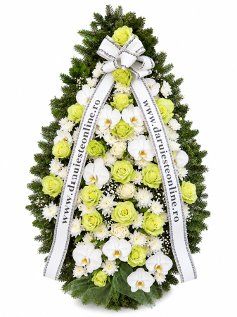 Coroane funerare Iasi - Coroană funerară bărbați Iași din brad natural cu trandafiri verzi și orhidee premium