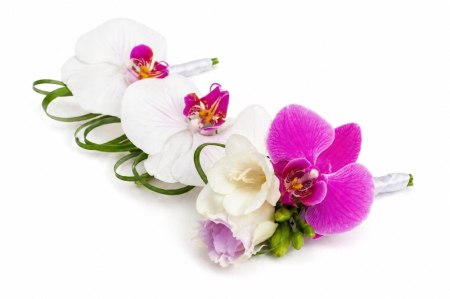 Nunta - cocarde-nunta-orhidee-phalaenopsis-iasi