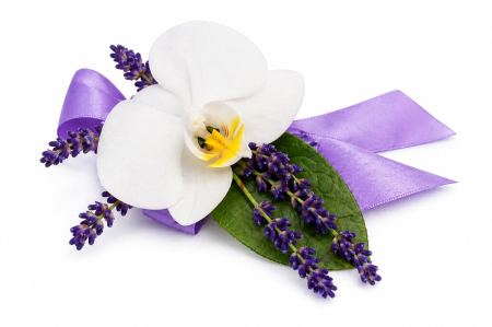 Nunta - corsaje-domnisoare-onoare-orhidee-iasi