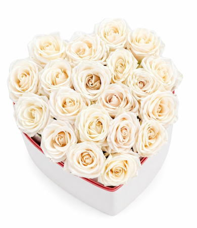 Florarie online Judetul Iasi - Inima cu 25 trandafiri albi premium in cutie - livrare flori Iasi