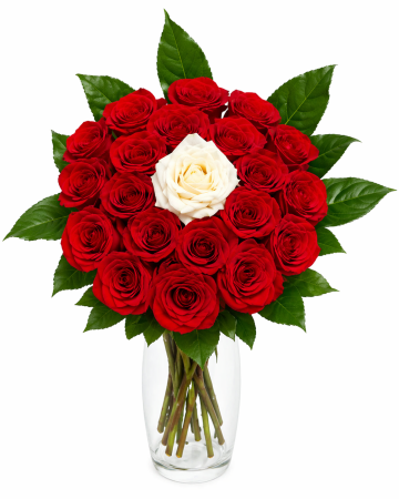 Buchete flori - Buchet 19 trandafiri rosii si alb livrare flori Iasi