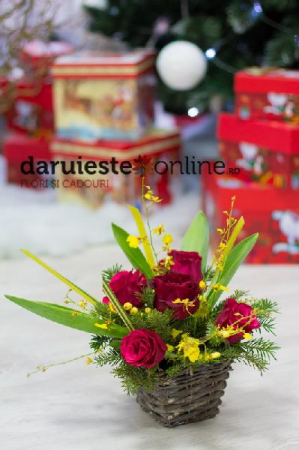 Produse - Cosulet vesel de Craciun