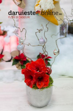 Produse - Craciun vesel