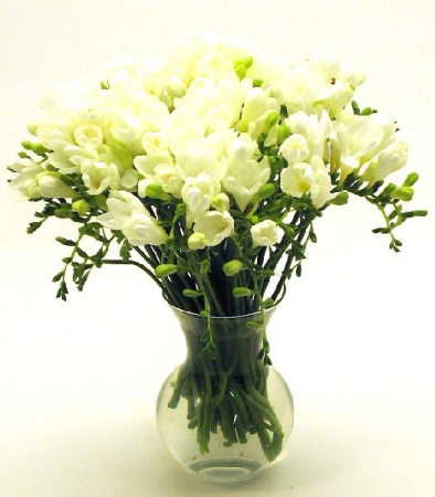 Buchete flori - Buchet 31 frezii