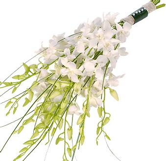 Buchete flori - Buchet orhidee dendrobium