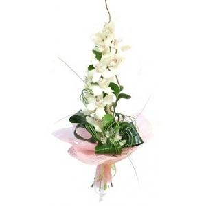 Buchete flori - Buchet orhidee imperiala