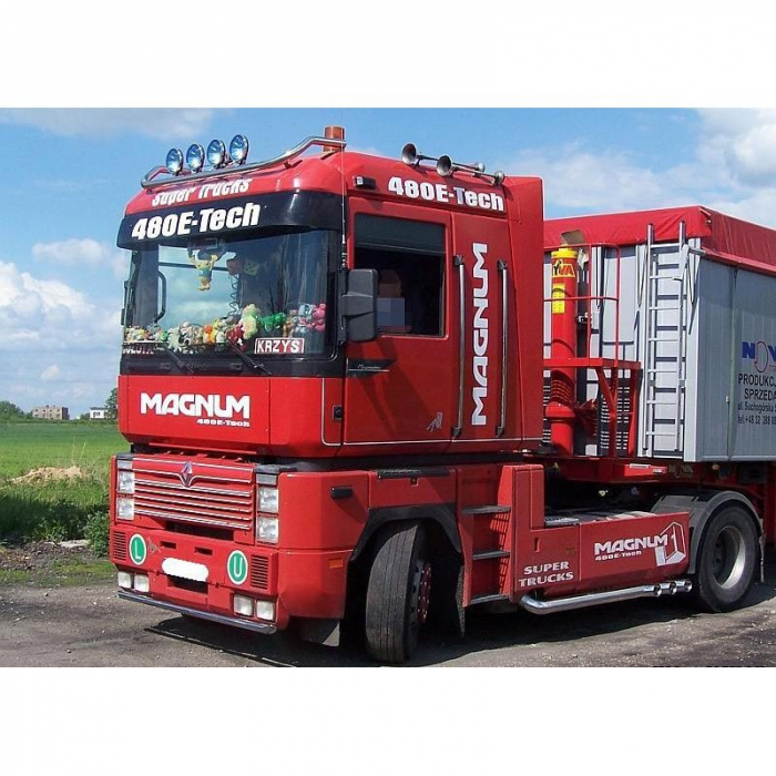Bara leduri sub masca fata, Renault Magnum 2008 - DAUTO RLB01 [2]