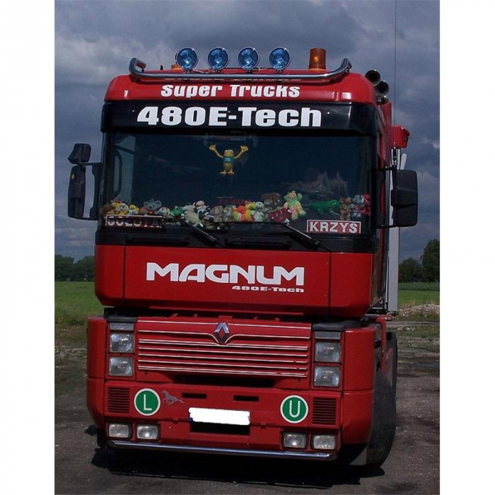 Bara leduri sub masca fata, Renault Magnum 2008 - DAUTO RLB01 [3]