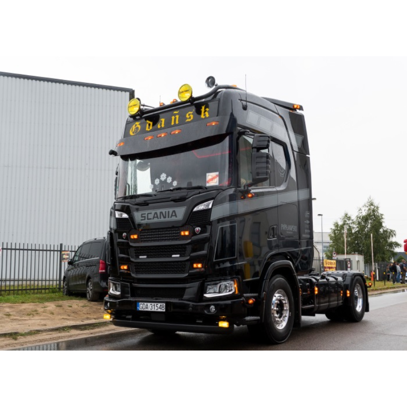Panou Publicitar Iluminat Neon LED PRO, Scania S R Highline, 30x180cm [5]