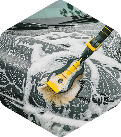Perie Spalat Auto PREMIUM [3]