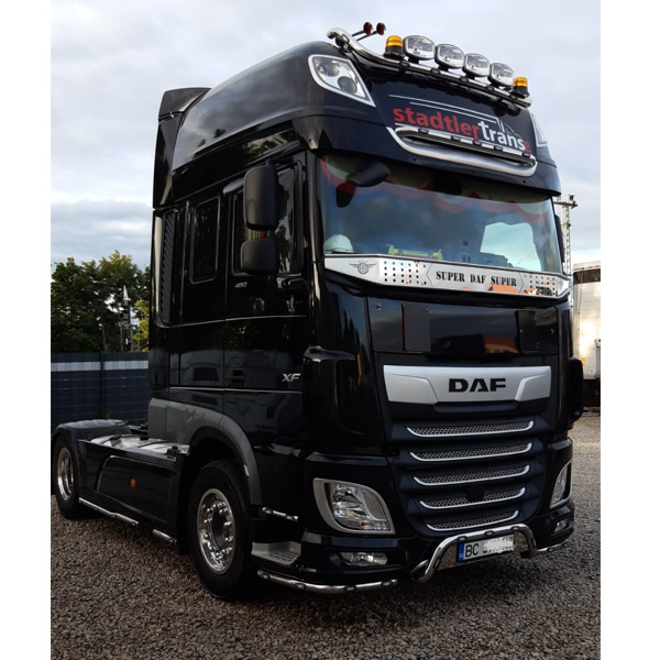 Plasa insecte, Daf XF Euro 6, inox [7]