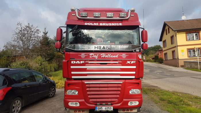 Plasa insecte, Daf XF Euro 6, inox [10]