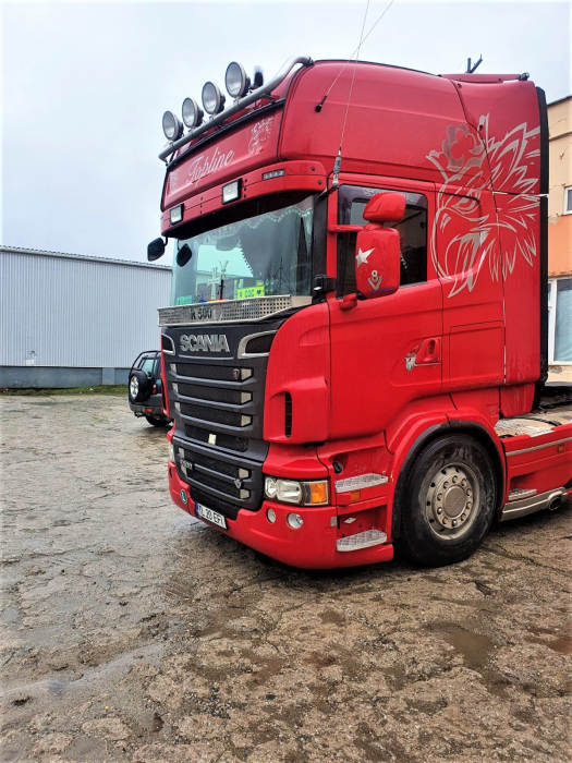 Plasa insecte inox parbriz Scania [4]