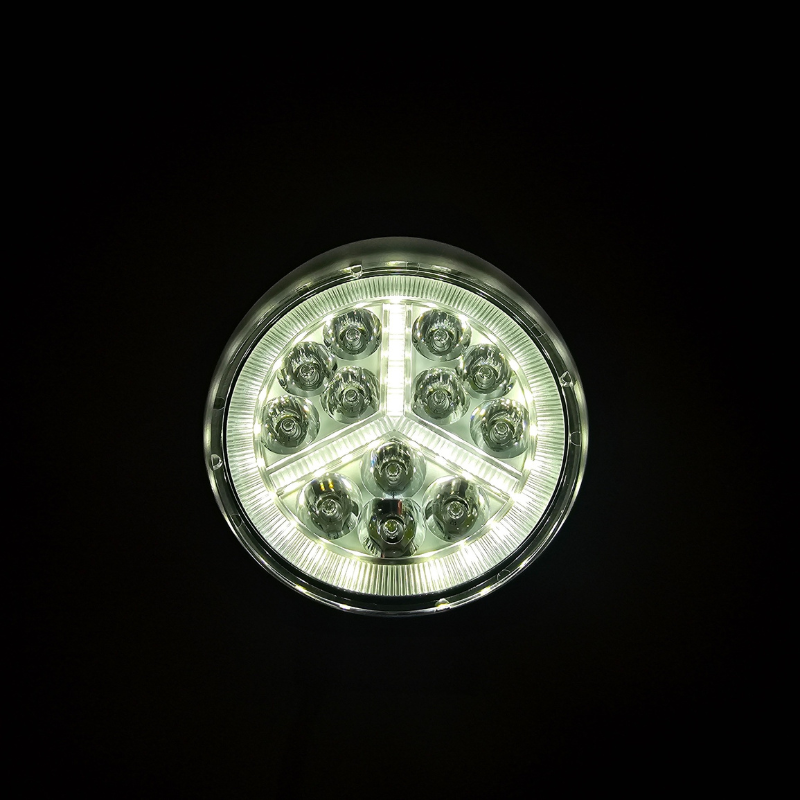 Proiector LED 16W, cu pozitie, 10/24V, 1100lm, 6500K, 11.2cm [2]