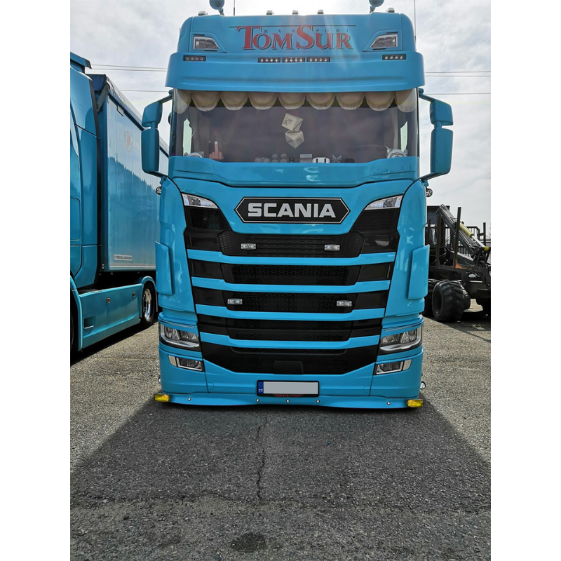 Protectie parbriz laminat, 19.5cm, plasa insecte SCANIA Nextgen S/R 08/2016- [2]