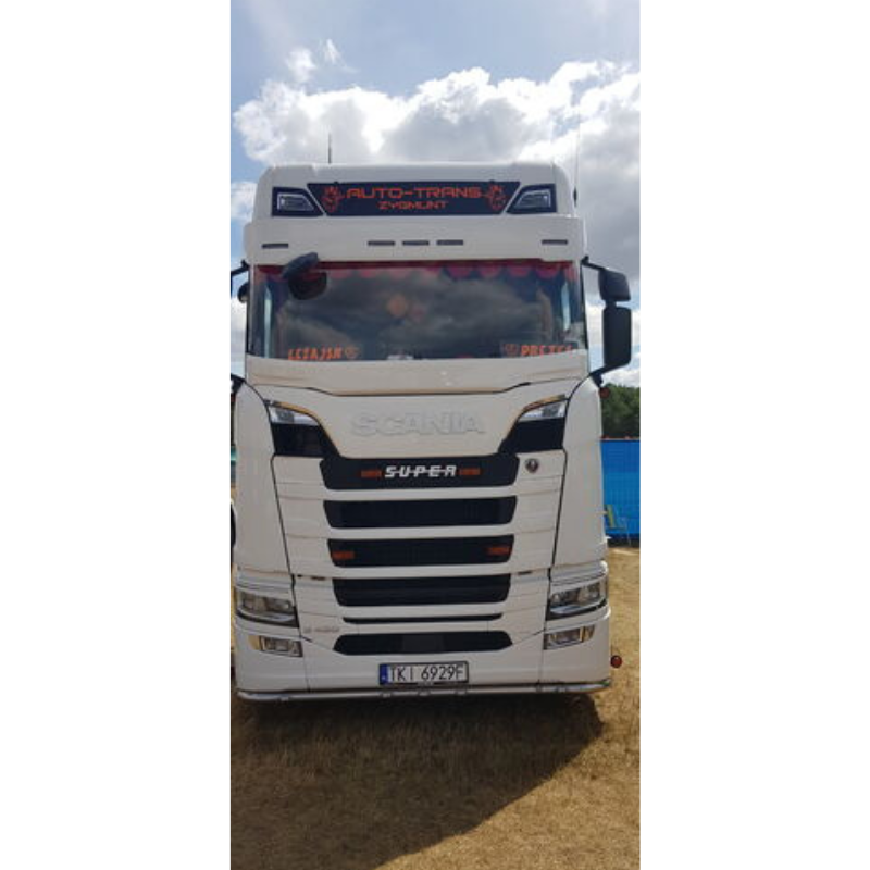 Protectie parbriz, plasa insecte SCANIA Nextgen S/R 08/2016- [6]