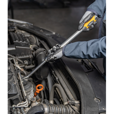 Antrenor cu clichet reversibil cu parghie telescopica [2]