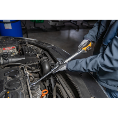 Antrenor cu clichet reversibil cu parghie telescopica [5]