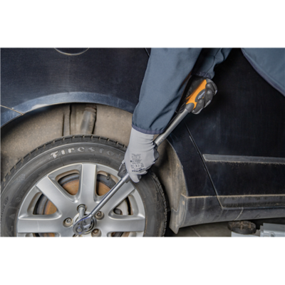 Antrenor cu clichet reversibil cu parghie telescopica [3]