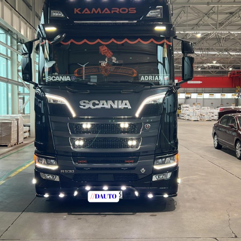 Bara leduri sub masca fata, 3 elemente, Scania - DAUTO [3]
