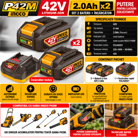 Set 2 acumulatori Li-Ion INGCO P42M, 42V Max, 2Ah, cu incarcator [5]