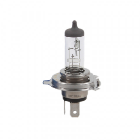 Bec auto 24V, H4, 75/70W, P43t [1]