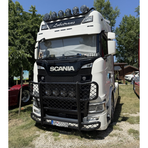 Noutati - Parasolar camion, Scania NG S si R 2016, adancime 35 cm, 5 decupaje lumini