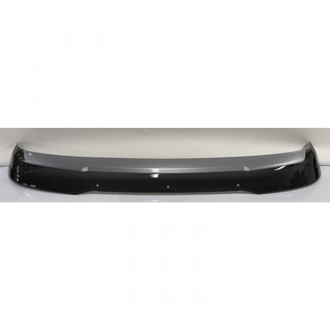 Parasolare si accesorii - Parasolar DAF XF/XG/XG+ 2022-
