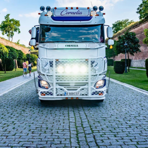 Plasa insecte, Daf XF Euro 6, inox