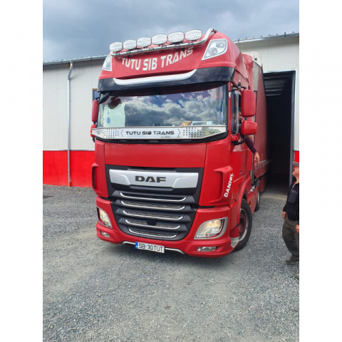 Plasa insecte, Daf XF Euro 6, inox [3]