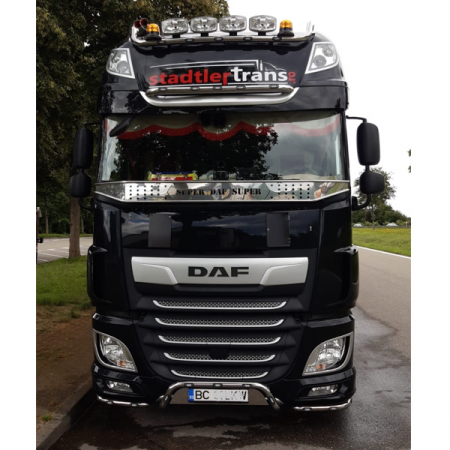 Plasa insecte, Daf XF Euro 6, inox [2]