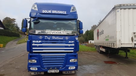 Plasa insecte, Daf XF Euro 6, inox [7]